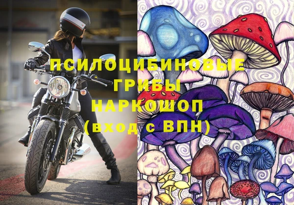 винт Беломорск